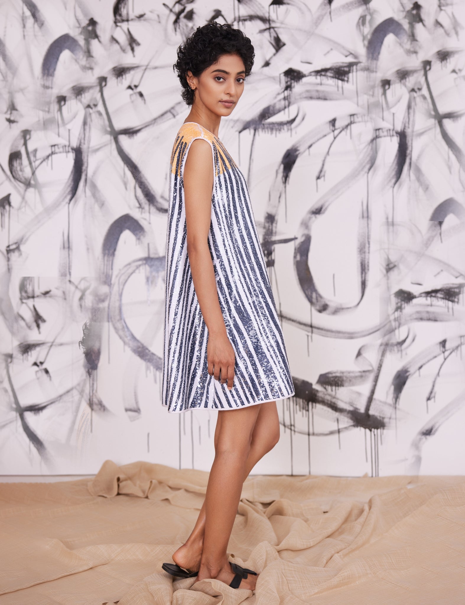 Striped Sequin Trapezoid Dress